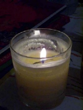 100_3761.JPG
